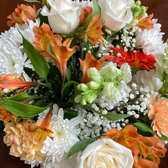 Meet your Posher, Michelle - Picture 1 of 1